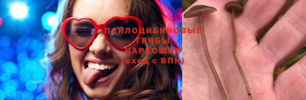 PSILOCYBIN Няндома