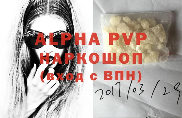 PSILOCYBIN Белокуриха