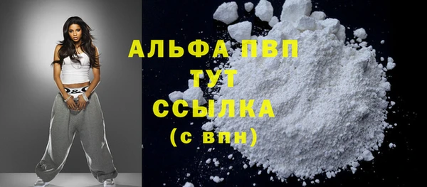 PSILOCYBIN Белокуриха