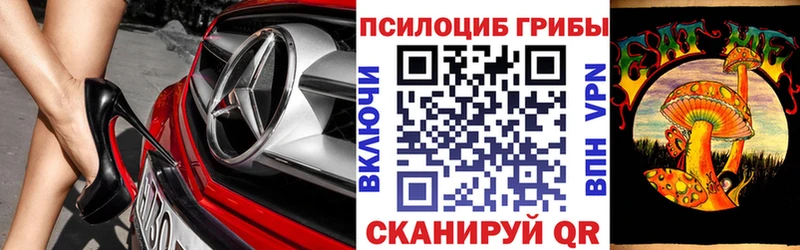 Псилоцибиновые грибы мицелий  Судогда 