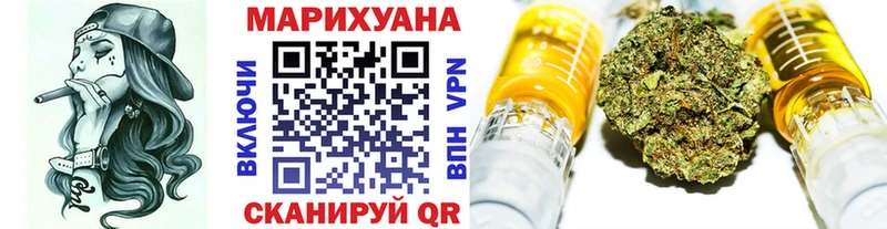Марихуана план  купить закладку  Судогда 